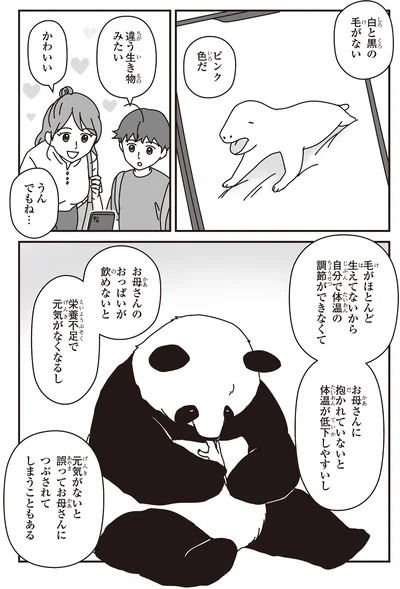 「パンダのミライ ―浜家・良浜 いのちの物語―」より