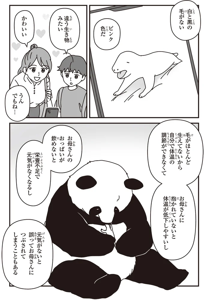 「パンダのミライ ―浜家・良浜 いのちの物語―」より