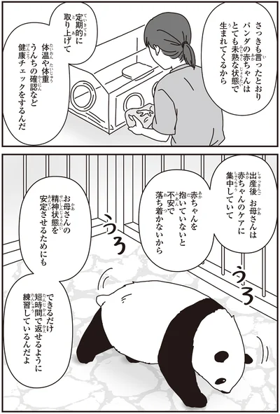 「パンダのミライ ―浜家・良浜 いのちの物語―」より