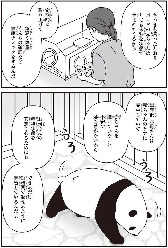 「パンダのミライ ―浜家・良浜 いのちの物語―」より