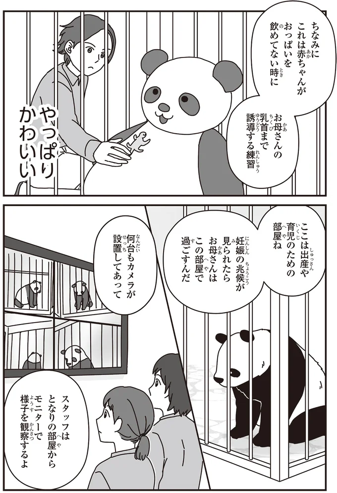 「パンダのミライ ―浜家・良浜 いのちの物語―」より