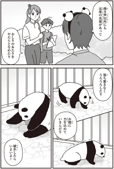 「パンダのミライ ―浜家・良浜 いのちの物語―」より