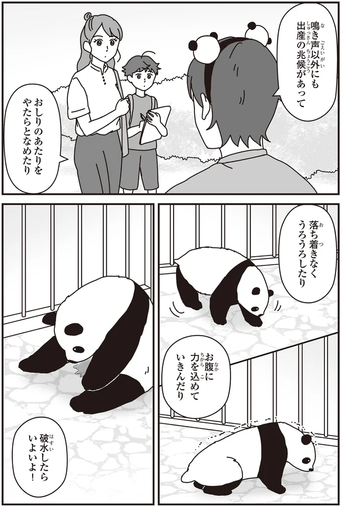 「パンダのミライ ―浜家・良浜 いのちの物語―」より