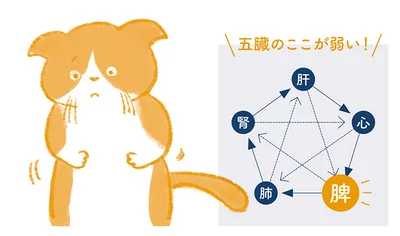 胃腸とストレスは強くつながっている