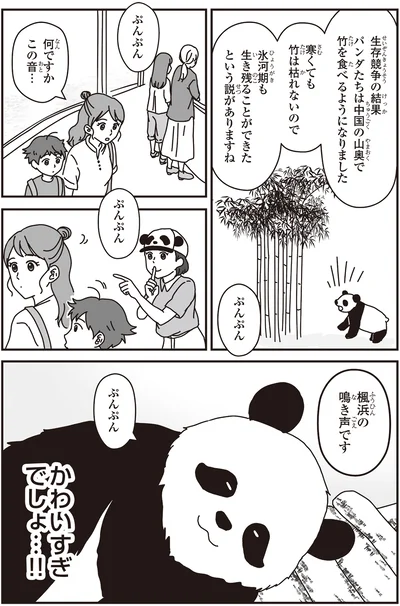 何ですかこの音…
