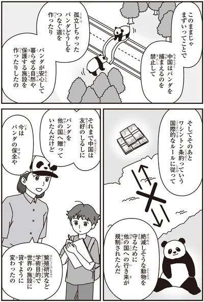 中国はパンダを捕まえるのを禁止して