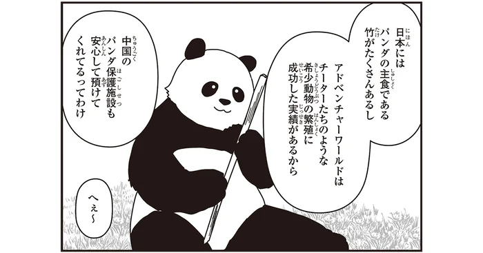 パンダの未来を紡ぐ、アドベンチャーワールドの「ブリーディングセンター」／パンダのミライ（4）