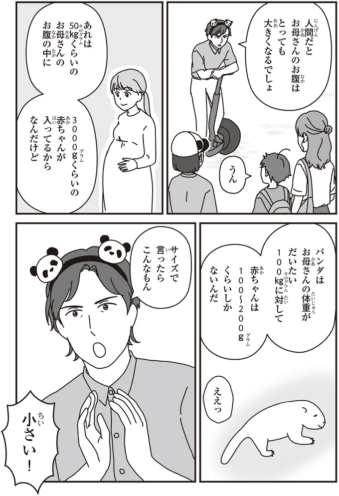 サイズで言ったらこんなもん