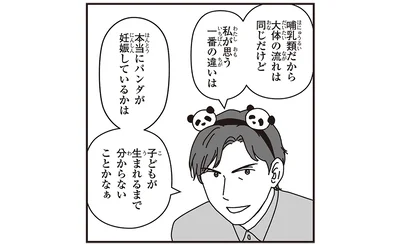 本当にパンダが妊娠しているかは