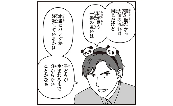 本当にパンダが妊娠しているかは