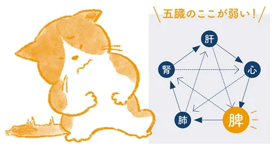 胃の痛みは、ガスの停滞によるものと胃腸の弱りの2種類の原因がある