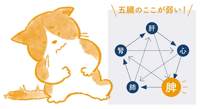 胃の痛みは、ガスの停滞によるものと胃腸の弱りの2種類の原因がある