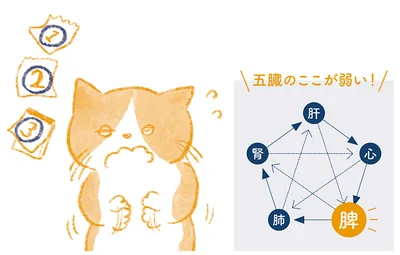 精神的ストレスやホルモンの乱れが原因に