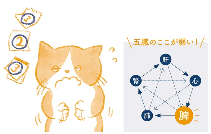 精神的ストレスやホルモンの乱れが原因に