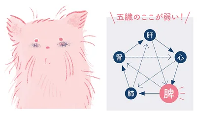 血流がとどこおるせいで血の質が悪くなり黒ずむ