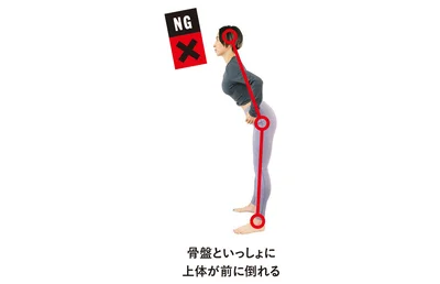 骨盤といっしょに上体が前に倒れる