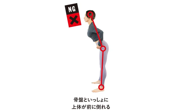 骨盤といっしょに上体が前に倒れる