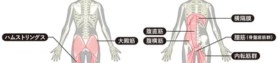 ここに効く