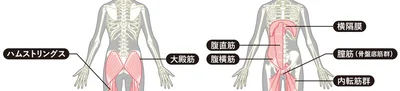 ここに効く