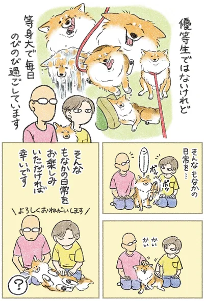 『犬を揉む -ぺちょら… ときどき 帰宅拒否-』より