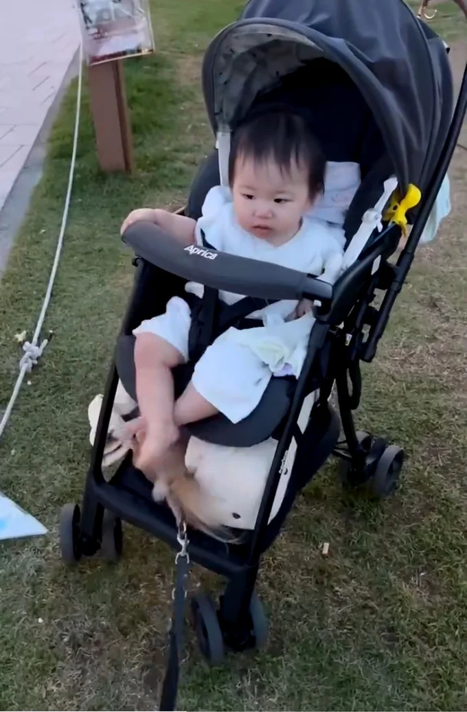 ベビーカーに乗ったかわいい赤ちゃん。その下に見えるのはしっぽ？▶ちゃちゃちゃん、何してるの？！（⇒次へ）