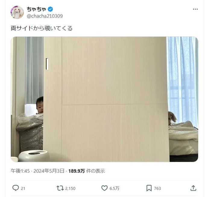 両サイドから覗いてくるちゃちゃちゃんと赤ちゃんの画像。こちらも6.5万いいねを集めて大反響でした！▶次はつぶらな瞳のちゃちゃちゃんへ！（⇒次へ）
