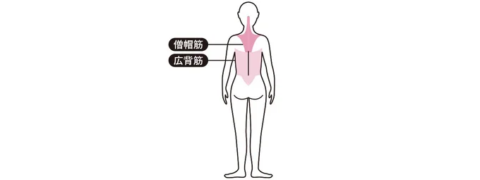 ここに効く