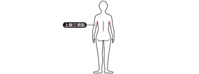 ここに効く