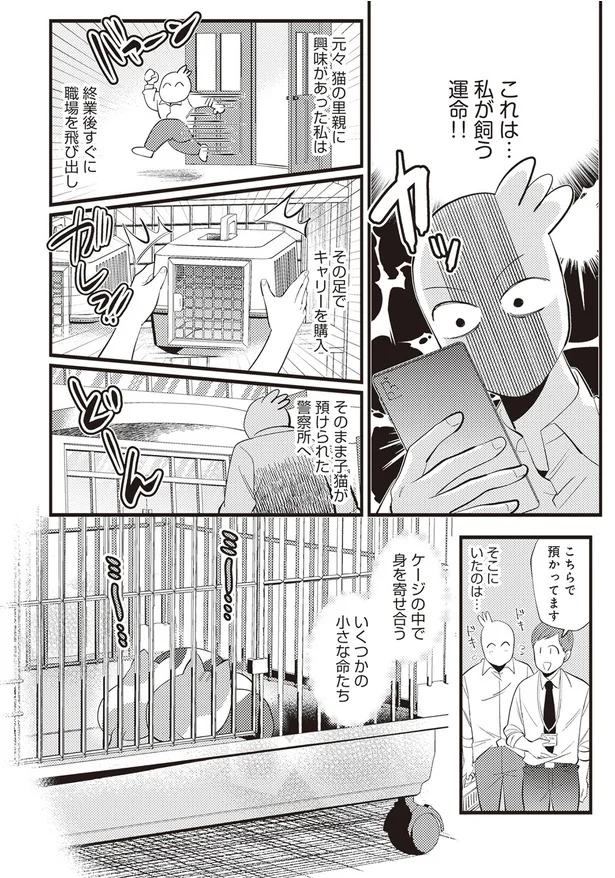  「レオとシロウのドタバタ猫日記」より
