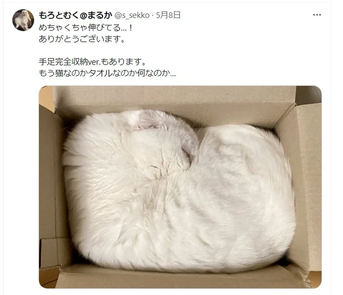 手足完全収納バージョン▶猫ちゃんにトラップを仕掛けてみた（⇒次へ）