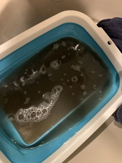 バケツに黒い水がたっぷり入っています▶何かを洗っているのでしょうか（⇒次へ）