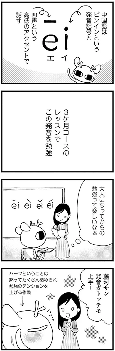 大人になってからの勉強って楽しいなぁ