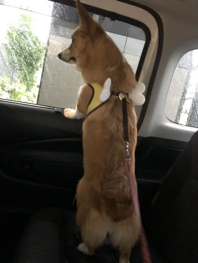 当たりを見渡しても…やっぱり病院だ▶すっかり大人しくなってしまいました（⇒次へ）