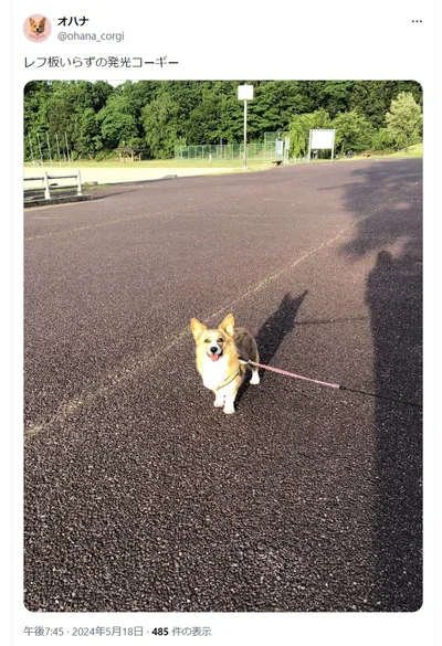 確かにレフ版いらずの光具合！▶おうちの中でのかわいいオハナちゃんの様子も！（⇒次へ）