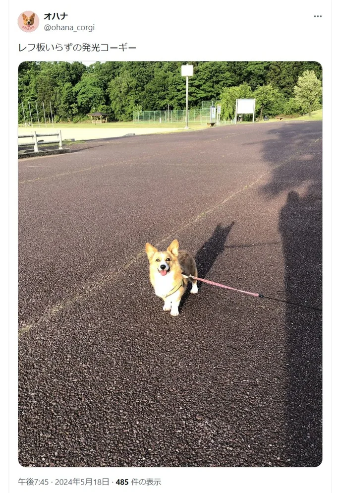 確かにレフ版いらずの光具合！▶おうちの中でのかわいいオハナちゃんの様子も！（⇒次へ）