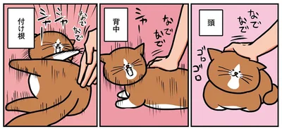 撫でポイントを撫でてみると