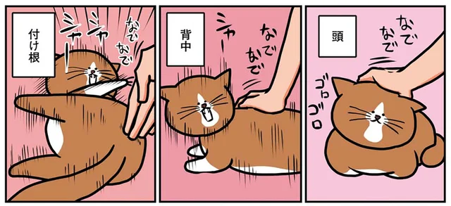 猫なりの抗議!? 深夜、自由気ままな猫が落とす物体の正体は
