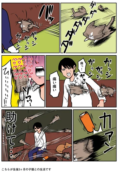 『鴻池剛と猫のぽんた ニャアアアン！ 2』より