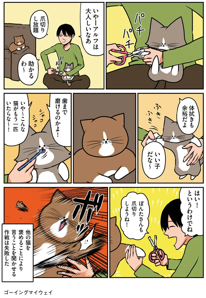 『鴻池剛と猫のぽんた ニャアアアン！ 2』より