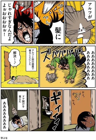 『鴻池剛と猫のぽんた ニャアアアン！ 2』より