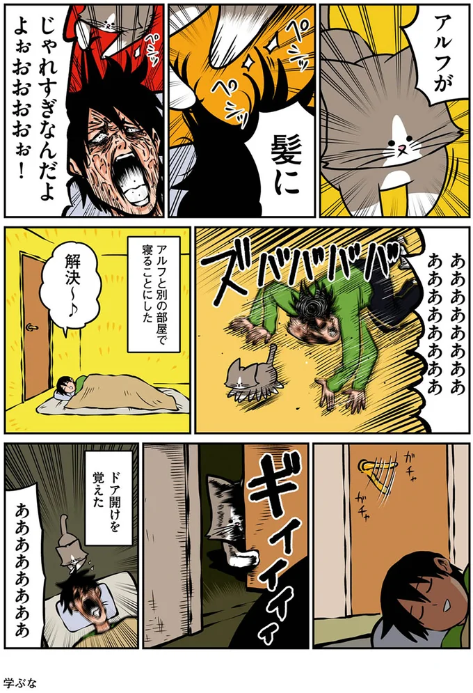 『鴻池剛と猫のぽんた ニャアアアン！ 2』より