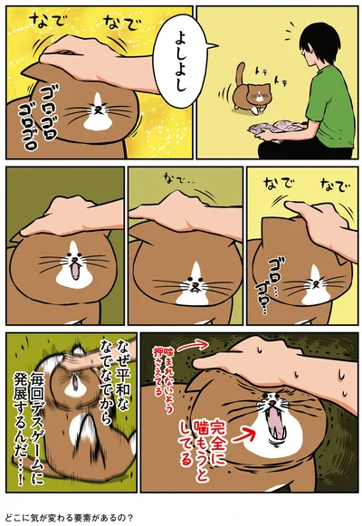 『鴻池剛と猫のぽんた ニャアアアン！ 3』より