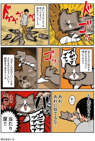 『鴻池剛と猫のぽんた ニャアアアン！ 3』より