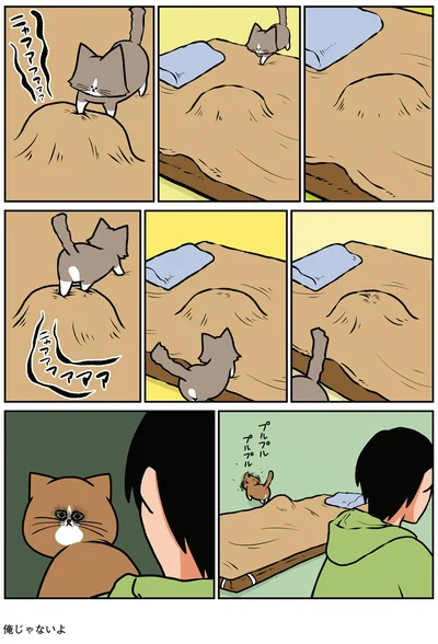 『鴻池剛と猫のぽんた ニャアアアン！ 3』より