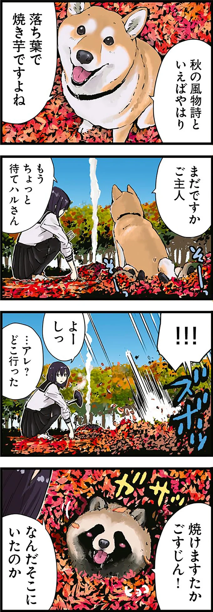 『世界の終わりに柴犬と3』より