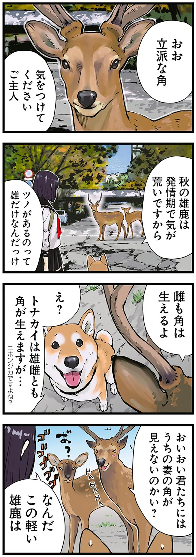 『世界の終わりに柴犬と3』より