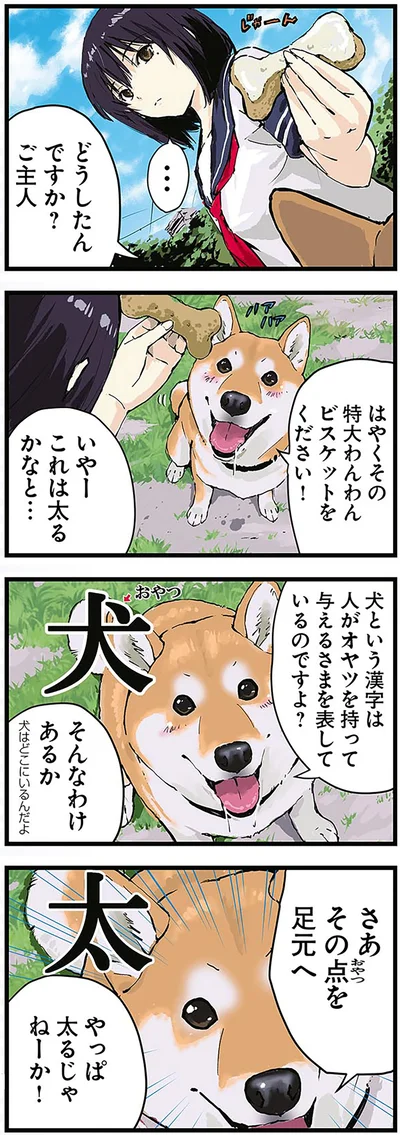 『世界の終わりに柴犬と3』より