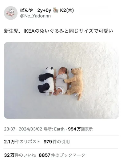 パンダ＝赤ちゃん＝犬！？尊すぎる新生児写真が32万いいねを集めました▶︎兄は妹を溺愛し、妹も兄が大好き！子育てコミックエッセイ『しおさん1歳 令和ギャル爆誕の道のり』は次画像から読めます（⇒次へ）