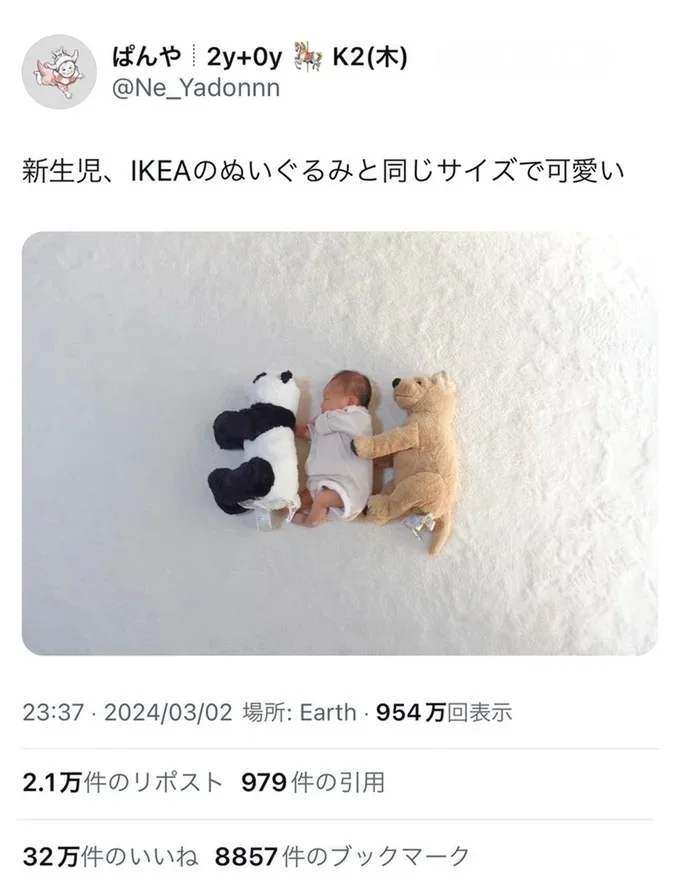 パンダ＝赤ちゃん＝犬！？尊すぎる新生児写真が32万いいねを集めました▶︎兄は妹を溺愛し、妹も兄が大好き！子育てコミックエッセイ『しおさん1歳 令和ギャル爆誕の道のり』は次画像から読めます（⇒次へ）
