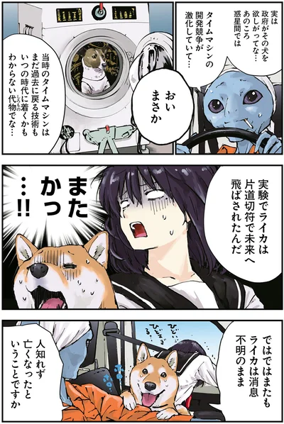 またかっ…！！